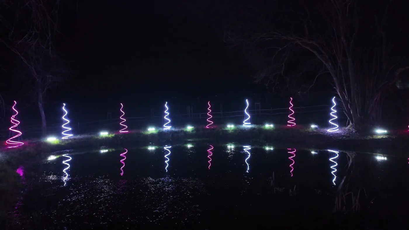 LED Christmas trees along the lake