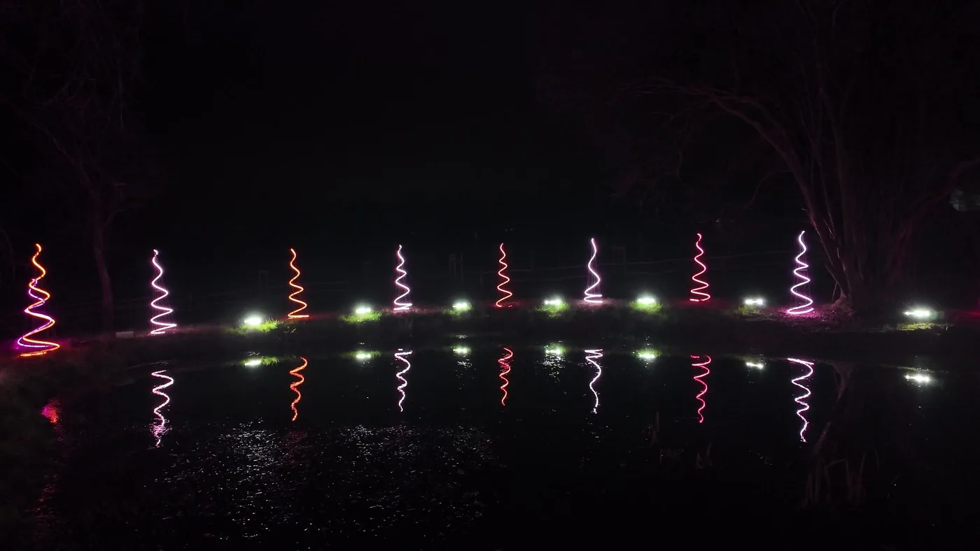 The trees in a warmer colour state
